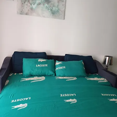 Apartment F1 Pres Tramway Et Nice